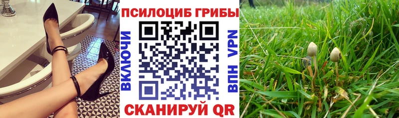 Псилоцибиновые грибы мицелий  где продают   Ярославль 